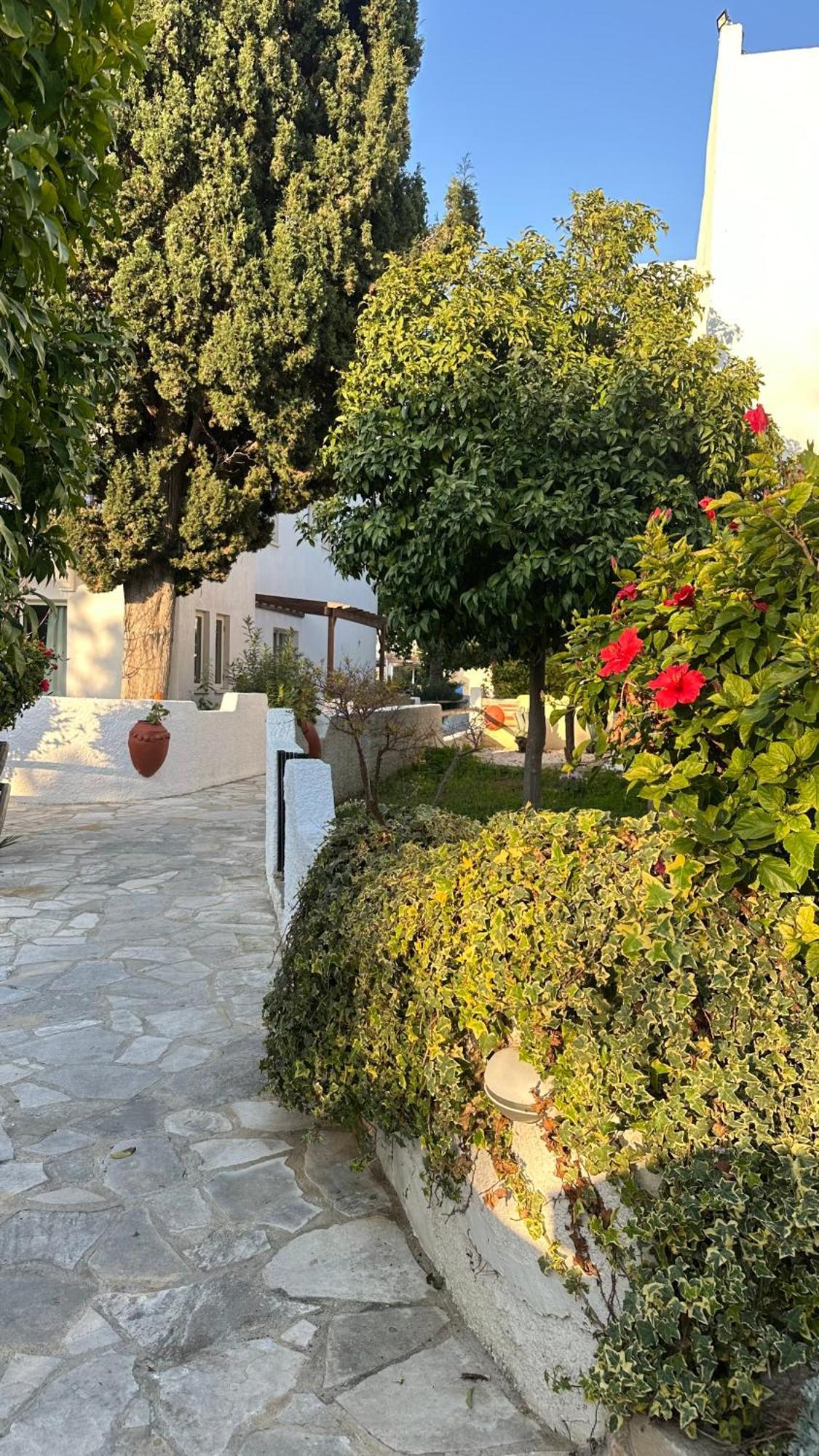 Paphos Gardens Studio Suite Kültér fotó