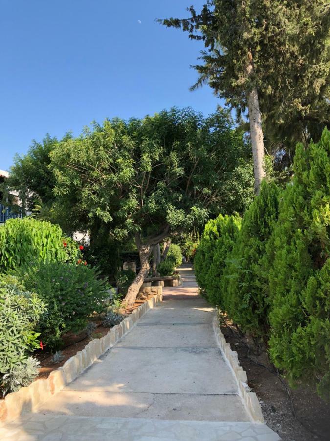 Paphos Gardens Studio Suite Kültér fotó