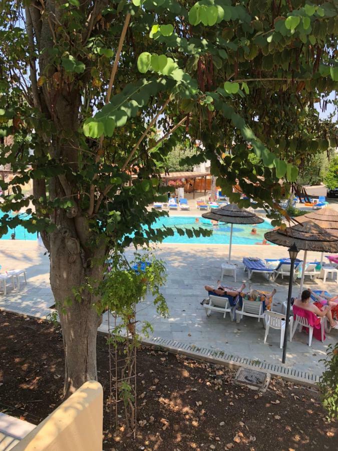 Paphos Gardens Studio Suite Kültér fotó